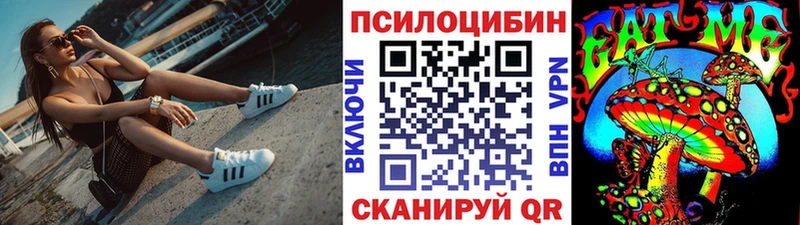 Псилоцибиновые грибы Psilocybe  Малаховка 